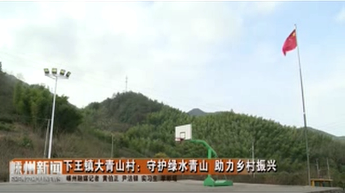 下王镇大青山村：守护绿水青山 助力乡村振兴