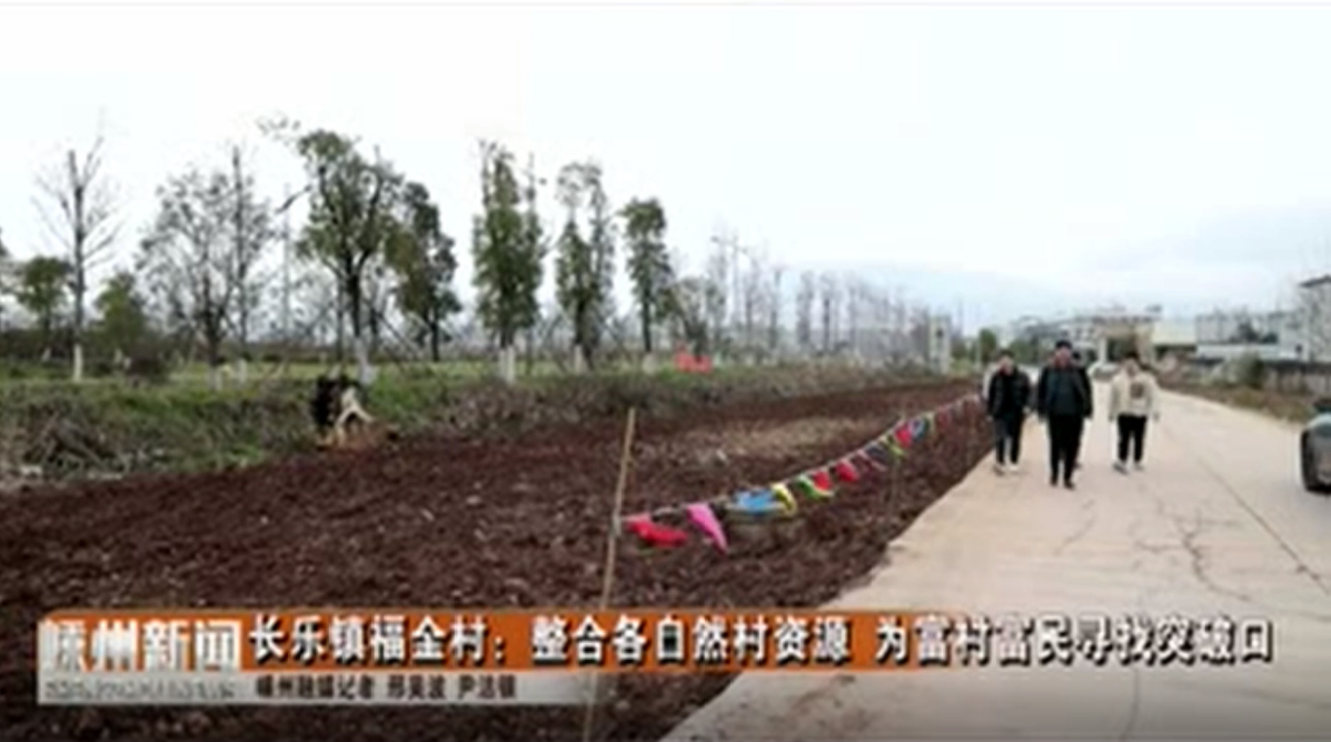 长乐镇福全村：整合各自然村资源 为富村富民寻找突破口