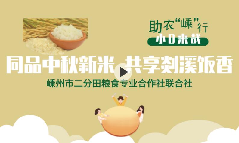 【视频】同品中秋新米 共享剡溪饭香